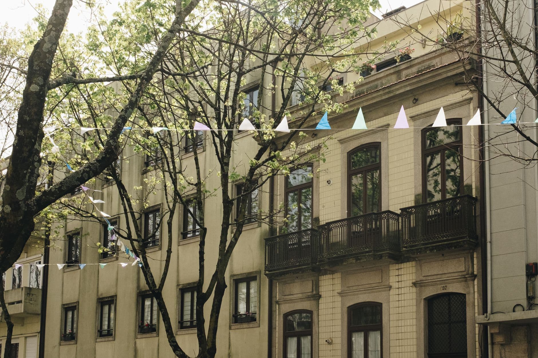 A picturesque city street showcasing classic facades and trees with bunting decorations.