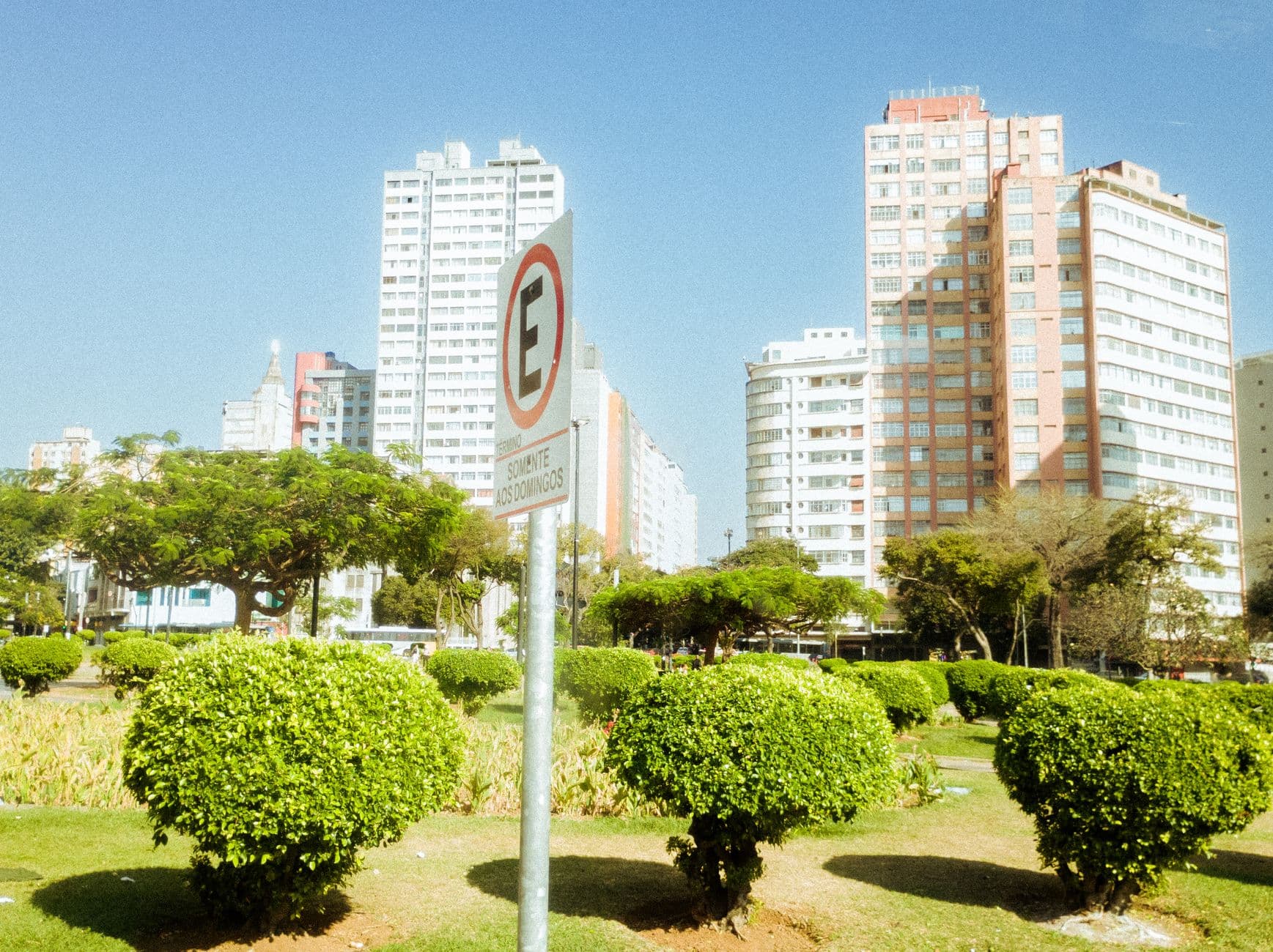 A bustling urban park with greenery and tall buildings under a clear blue sky, featuring a no parking sign.